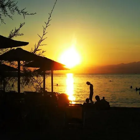 Relax *