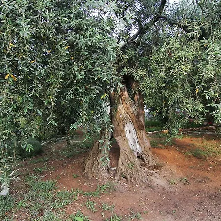 빌라 Relax Skála Kallirákhis