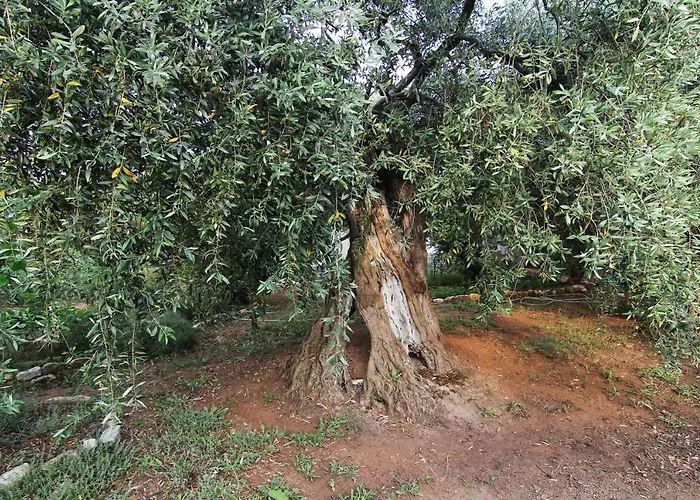 ヴィラ Relax Skála Kallirákhis